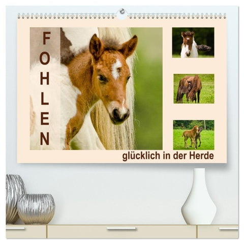 Fohlen, glücklich in der Herde (hochwertiger Premium Wandkalender 2027 DIN A2 quer), Kunstdruck in Hochglanz