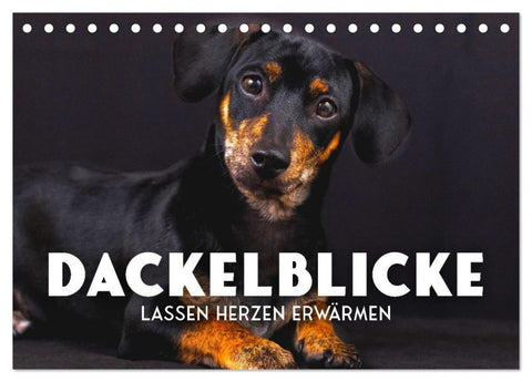 Dackelblicke - Lassen Herzen erwärmen. (Tischkalender 2027 DIN A5 quer), CALVENDO Monatskalender