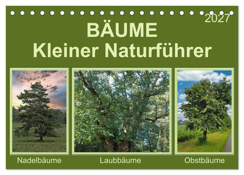 Bäume Kleiner Naturführer (Tischkalender 2027 DIN A5 quer), CALVENDO Monatskalender
