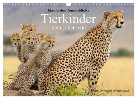 Magie des Augenblicks - Tierkinder - klein, aber wild (Wandkalender 2026 DIN A3 quer), CALVENDO Monatskalender