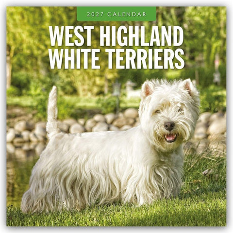 West Highland White Terriers – West Highland White Terrier – Westie 2027 – 16-Monatskalender