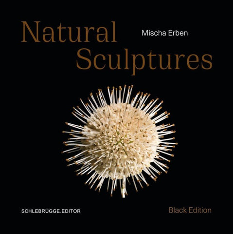 Mischa Erben – Natural Sculptures