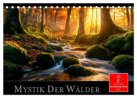 Mystik der Wälder (Tischkalender 2027 DIN A5 quer), CALVENDO Monatskalender