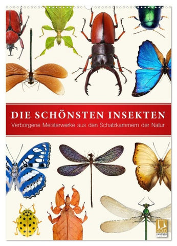 Die schönsten Insekten (Wandkalender 2027 DIN A2 hoch), CALVENDO Monatskalender