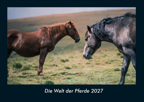 Die Welt der Pferde 2027 Fotokalender DIN A4