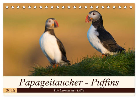 Papageitaucher - Puffins (Tischkalender 2026 DIN A5 quer), CALVENDO Monatskalender