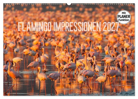 Flamingo Impressionen 2027 (Wandkalender 2027 DIN A2 quer), CALVENDO Monatskalender