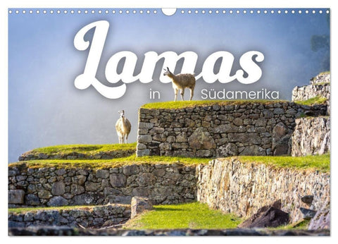 Lamas in Südamerika (Wandkalender 2027 DIN A3 quer), CALVENDO Monatskalender