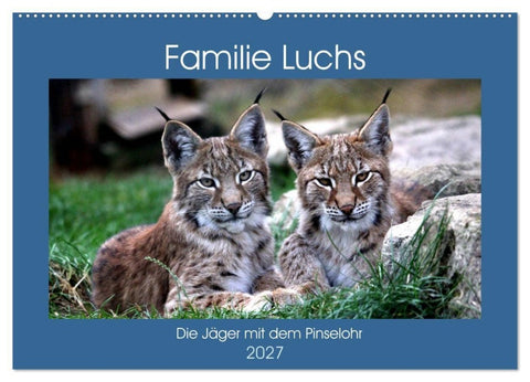 Familie Luchs - Die Jäger mit dem Pinselohr (Wandkalender 2027 DIN A2 quer), CALVENDO Monatskalender
