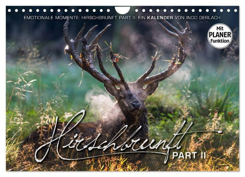 Emotionale Momente: Hirschbrunft. Part II. (Wandkalender 2027 DIN A4 quer), CALVENDO Monatskalender