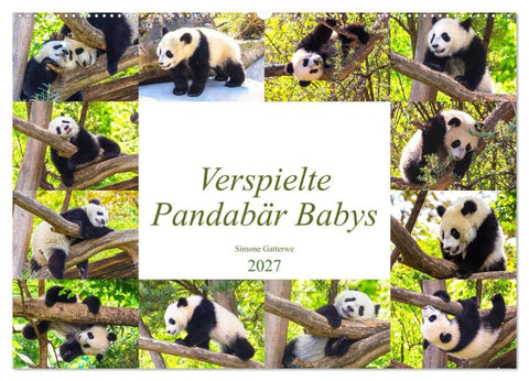 Pandabär Babys (Wandkalender 2027 DIN A2 quer), CALVENDO Monatskalender
