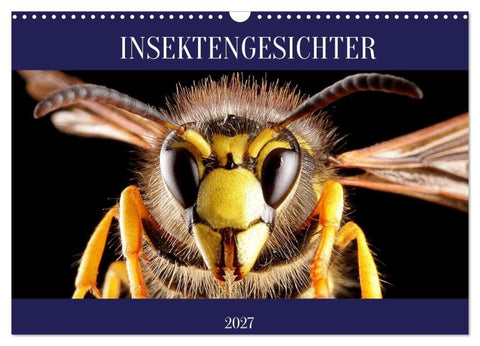 INSEKTENGESICHTER (Wandkalender 2027 DIN A3 quer), CALVENDO Monatskalender
