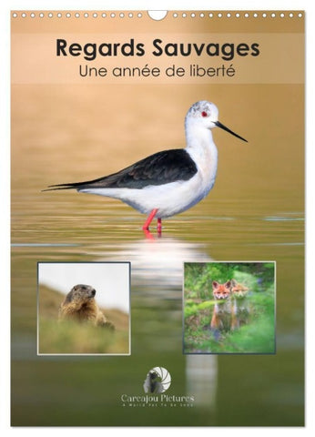 Regards sauvages - Une année de liberté (Calendrier mural 2026 DIN A3 horizontal), CALVENDO calendrier mensuel