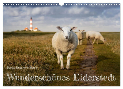 Wunderschönes Eiderstedt (Wandkalender 2026 DIN A3 quer), CALVENDO Monatskalender