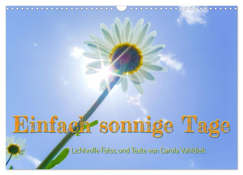 Einfach sonnige Tage (Wandkalender 2026 DIN A3 quer), CALVENDO Monatskalender