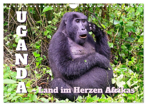 Uganda - Land im Herzen Afrikas (Wandkalender 2027 DIN A4 quer), CALVENDO Monatskalender