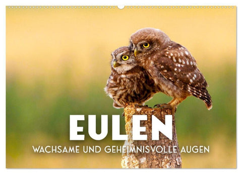 Eulen - Wachsame und geheimnisvolle Augen (Wandkalender 2027 DIN A2 quer), CALVENDO Monatskalender