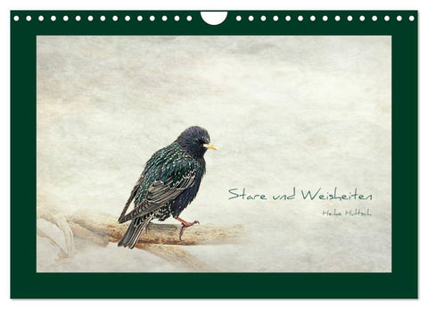 Stare und Weisheiten (Wandkalender 2027 DIN A4 quer), CALVENDO Monatskalender