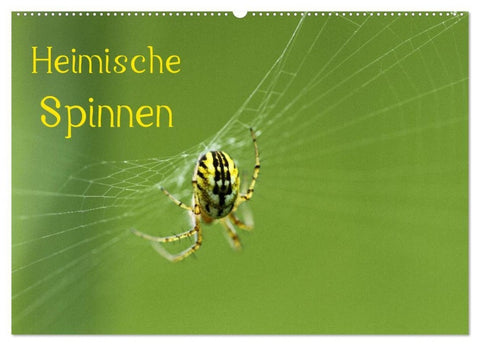Heimische Spinnen (Wandkalender 2027 DIN A2 quer), CALVENDO Monatskalender