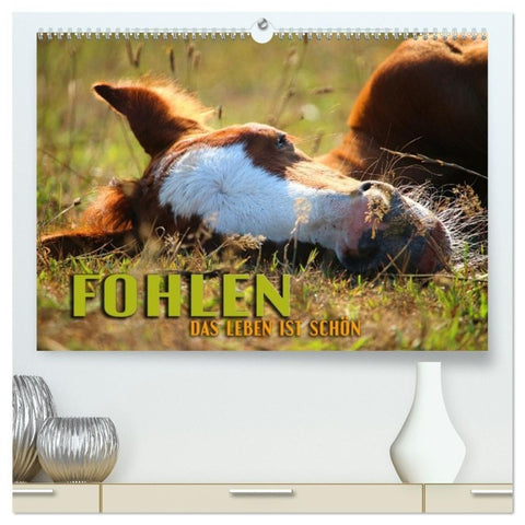 Fohlen - das Leben ist schön (hochwertiger Premium Wandkalender 2027 DIN A2 quer), Kunstdruck in Hochglanz