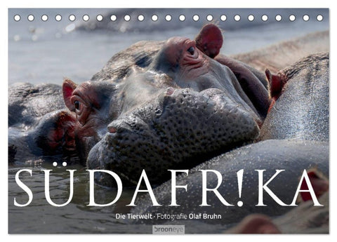 Südafrika - Die Tierwelt (Tischkalender 2026 DIN A5 quer), CALVENDO Monatskalender