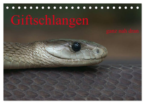 Giftschlangen, ganz nah dran (Tischkalender 2026 DIN A5 quer), CALVENDO Monatskalender