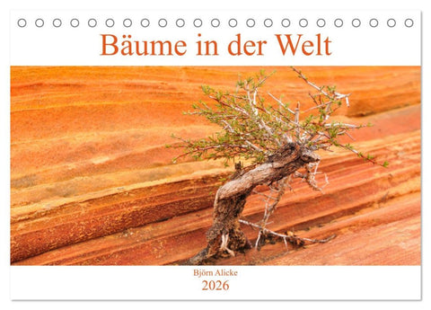 Bäume in der Welt (Tischkalender 2026 DIN A5 quer), CALVENDO Monatskalender