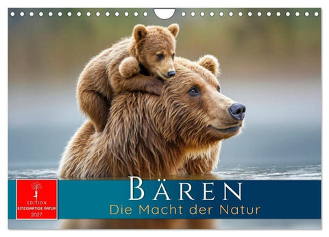Bären - Die Macht der Natur (Wandkalender 2027 DIN A4 quer), CALVENDO Monatskalender