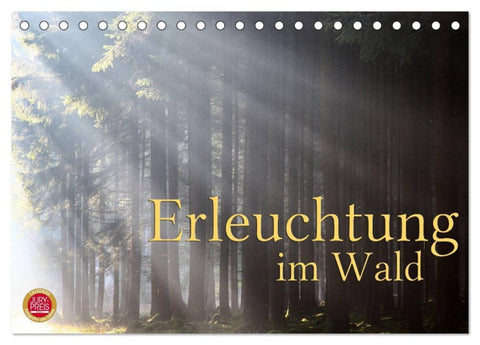 Erleuchtung im Wald (Tischkalender 2026 DIN A5 quer), CALVENDO Monatskalender