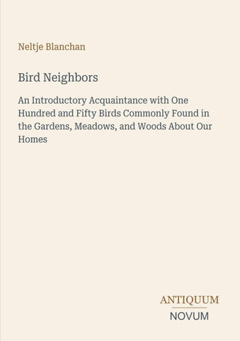 Bird Neighbors