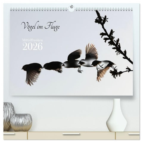 Vögel im Fluge (hochwertiger Premium Wandkalender 2026 DIN A2 quer), Kunstdruck in Hochglanz