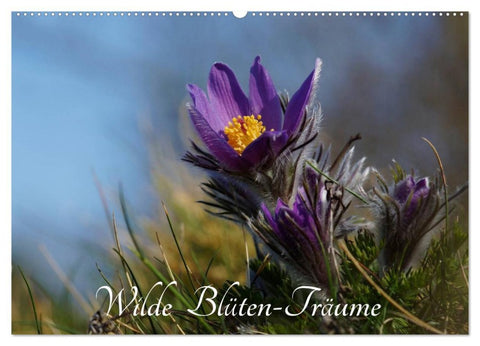 Wilde Blüten-Träume (Wandkalender 2026 DIN A2 quer), CALVENDO Monatskalender