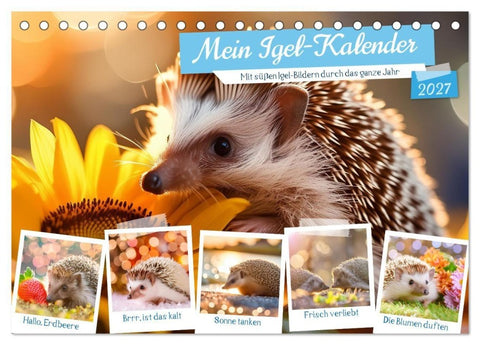 Mein Igel-Kalender (Tischkalender 2027 DIN A5 quer), CALVENDO Monatskalender