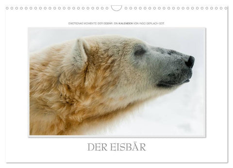 Emotionale Momente: Der Eisbär. (Wandkalender 2026 DIN A3 quer), CALVENDO Monatskalender