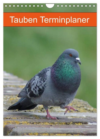 Tauben Terminplaner (Wandkalender 2027 DIN A4 hoch), CALVENDO Monatskalender