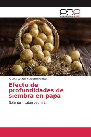 Efecto de profundidades de siembra en papa