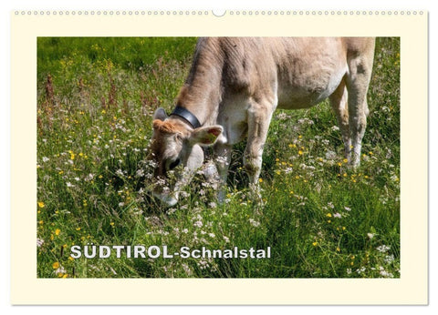 SÜDTIROL-Schnalstal (Wandkalender 2027 DIN A2 quer), CALVENDO Monatskalender