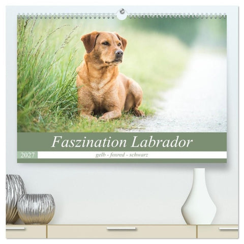 Faszination Labrador - gelb, foxred, schwarz (hochwertiger Premium Wandkalender 2027 DIN A2 quer), Kunstdruck in Hochglanz
