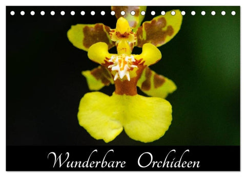 Wunderbare Orchideen (Tischkalender 2027 DIN A5 quer), CALVENDO Monatskalender
