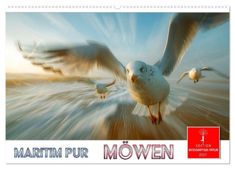 Maritim pur - Möwen (Wandkalender 2027 DIN A2 quer), CALVENDO Monatskalender