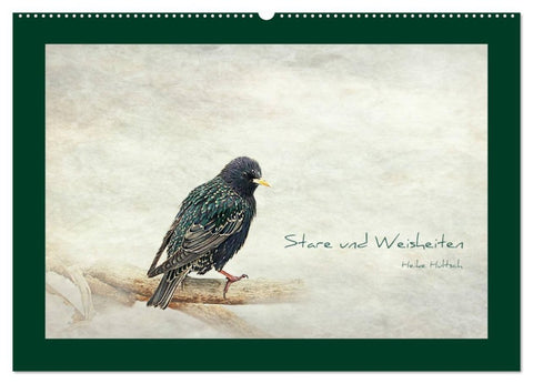 Stare und Weisheiten (Wandkalender 2026 DIN A2 quer), CALVENDO Monatskalender