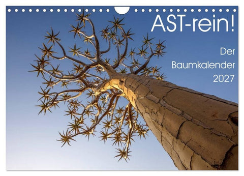 Astrein! - Der Baumkalender 2027 (Wandkalender 2027 DIN A4 quer), CALVENDO Monatskalender