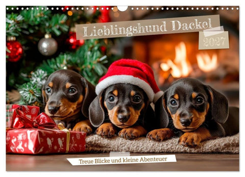 Lieblingshund Dackel (Wandkalender 2027 DIN A3 quer), CALVENDO Monatskalender