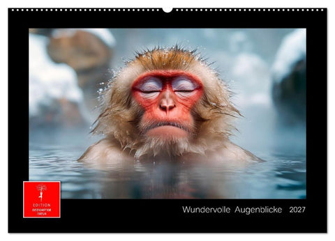 Wundervolle Augenblicke (Wandkalender 2027 DIN A2 quer), CALVENDO Monatskalender