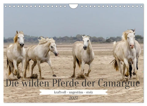 Die wilden Pferde der Camargue (Wandkalender 2027 DIN A4 quer), CALVENDO Monatskalender