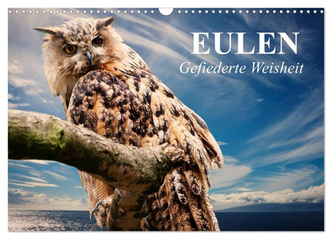 Eulen. Gefiederte Weisheit (Wandkalender 2026 DIN A3 quer), CALVENDO Monatskalender