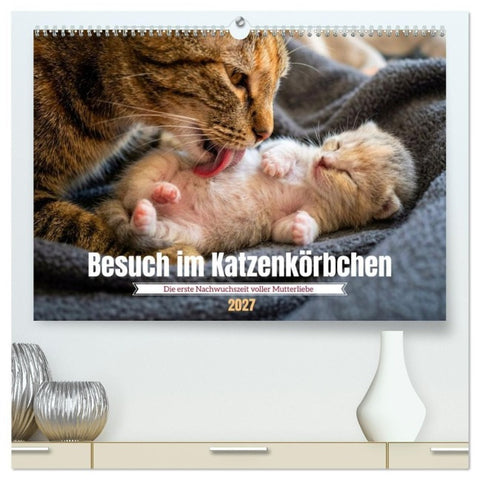 Besuch im Katzenkörbchen (hochwertiger Premium Wandkalender 2027 DIN A2 quer), Kunstdruck in Hochglanz