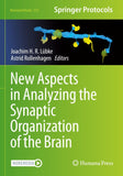 New Aspects in Analyzing the Synaptic Organization of the Brain