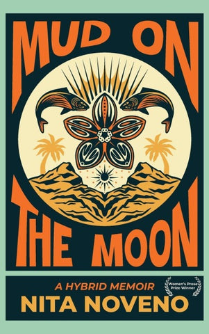 Mud on the Moon