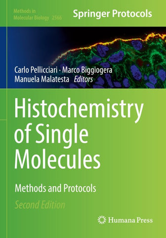 Histochemistry of Single Molecules